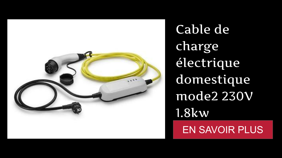 Cable de charge électrique domestique mode2 230V 1.8kw